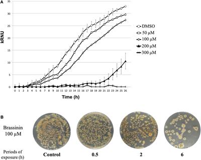 Responses of the Necrotrophic Fungus Alternaria brassisicola to the Indolic Phytoalexin Brassinin
